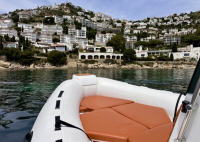 Tiger Marine Proline 620 rent a boat