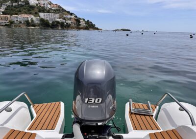 Tiger Marine Proline 620 rent a boat